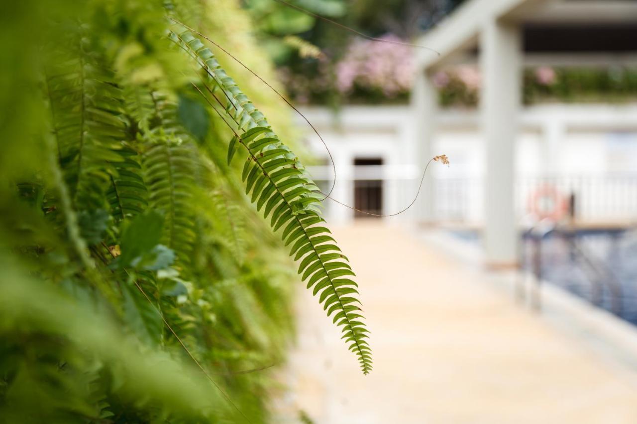 Munting Paraiso Puerto Princesa Zewnętrze zdjęcie